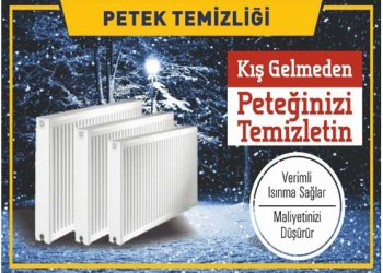 Petek Temizleme Servisi